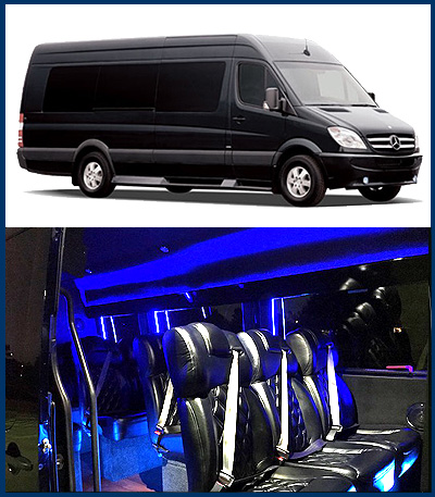 10-12 Passenger Executive Sprinter