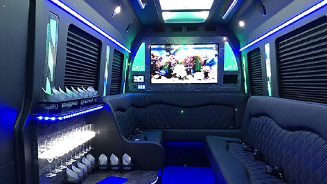 12-14 Pass Sprinter Limo